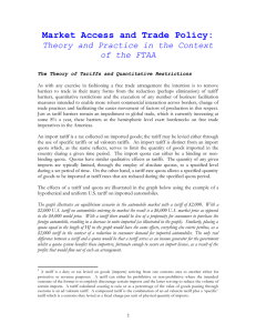 Market Access and Trade Policy: Theory and Practice in the Context