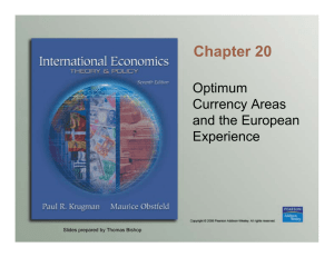 Chapter 20 Optimum Currency Areas and the European
