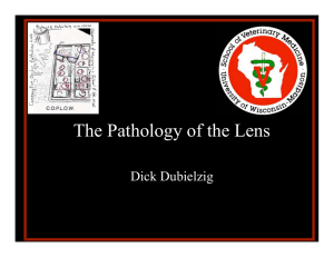 The Pathology of the Lens Dick Dubielzig