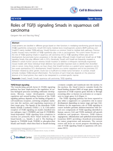 b signaling Smads in squamous cell Roles of TGF carcinoma