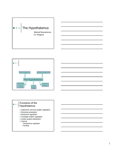 The Hypothalamus Functions of the Hypothalamus