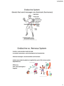 Endocrine vs. Nervous System Endocrine System 5/10/2015