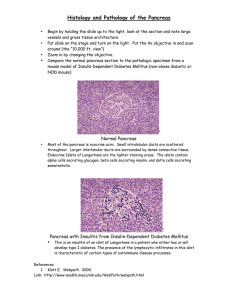 Histology and Pathology of the Pancreas