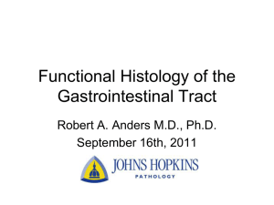 Functional Histology of the Gastrointestinal Tract Robert A. Anders M.D., Ph.D.