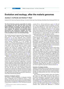 Evolution and ecology, after the malaria genomes