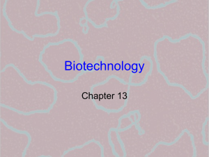 Biotechnology Chapter 13