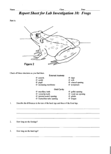 Report Sheet for  Lab Investigation 10:  Frogs Name Date Class