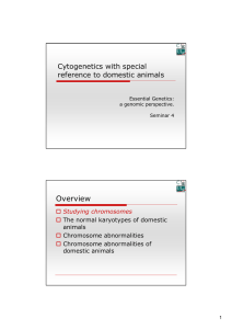 Overview Cytogenetics with special reference to domestic animals