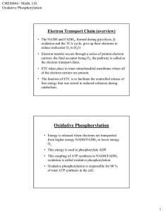 Electron Transport Chain (overview) CHEM464 / Medh, J.D. Oxidative Phosphorylation