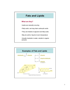 Fats and Lipids What are they?