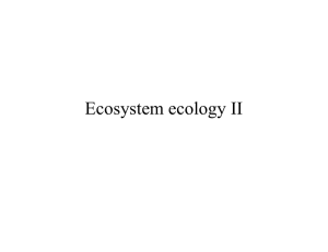 Ecosystem ecology II