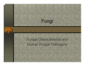Fungi Fungal Characteristics and Human Fungal Pathogens