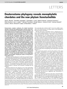 LETTERS Deuterostome phylogeny reveals monophyletic chordates and the new phylum Xenoturbellida