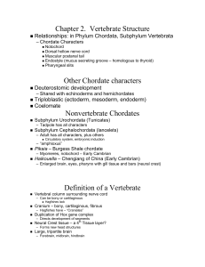 Chapter 2.  Vertebrate Structure Relationships: in Phylum Chordata, Subphylum Vertebrata