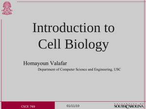 Introduction to Cell Biology Homayoun Valafar Department of Computer Science and Engineering, USC