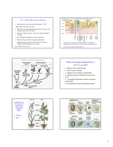 Lec 2. Plant body: form &amp; function