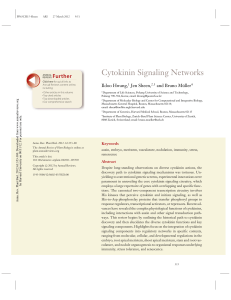 Cytokinin Signaling Networks Further Ildoo Hwang, Jen Sheen,