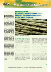 S Developing uses for sugar-cane bagasse: biotechnology applied to the paper industry