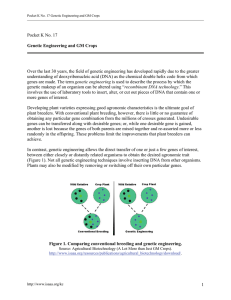 Pocket K No. 17 Genetic Engineering and GM Crops