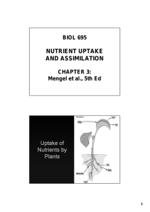 NUTRIENT UPTAKE AND ASSIMILATION BIOL 695 CHAPTER 3: