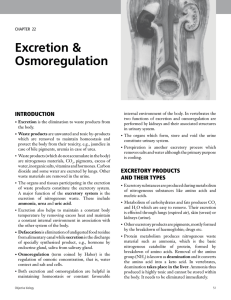 Excretion &amp; Osmoregulation IntroductIon