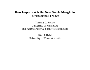 How Important is the New Goods Margin in International Trade?