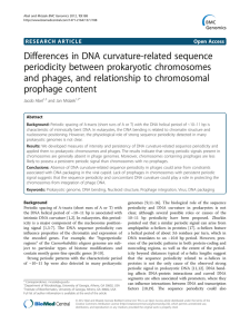 Differences in DNA curvature-related sequence periodicity between prokaryotic chromosomes