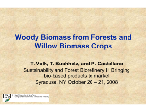 Woody Biomass from Forests and Willow Biomass Crops