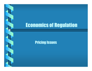 Economics of Regulation Pricing Issues