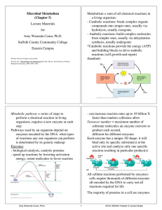 Microbial Metabolism (Chapter 5) Metabolism = sum of all chemical reactions in