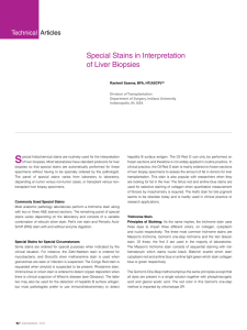 S Special Stains in Interpretation of Liver Biopsies Technical