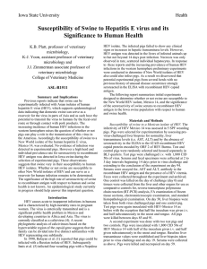 Susceptibility of Swine to Hepatitis E virus and its Health