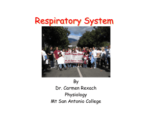 Respiratory System By Dr. Carmen Rexach Physiology