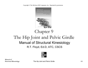 Chapter 9 The Hip Joint and Pelvic Girdle Manual of Structural Kinesiology