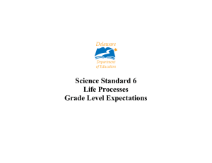 Science Standard 6 Life Processes Grade Level Expectations