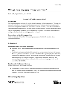 What can I learn from worms? Lesson 1: What is regeneration?