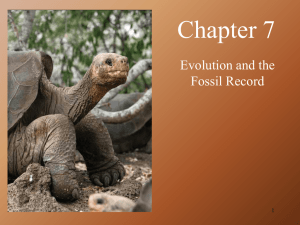 Chapter 7 Evolution and the Fossil Record 1