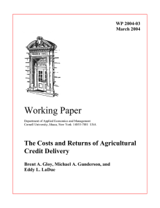 Working Paper The Costs and Returns of Agricultural Credit Delivery