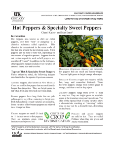 Hot Peppers &amp; Specialty Sweet Peppers Introduction Cheryl Kaiser and Matt Ernst