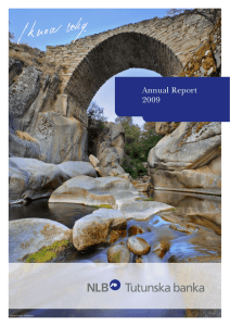 Annual Report 2009 Stone brige, Mariovo