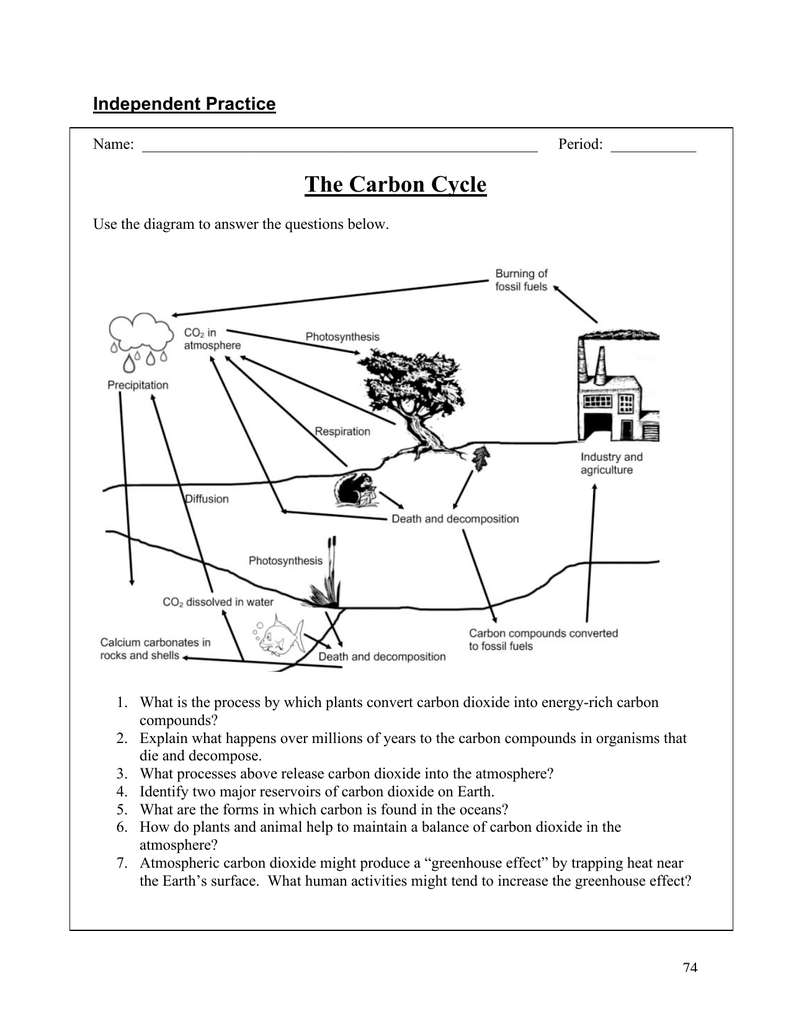 The Carbon Cycle Independent Practice With Regard To The Carbon Cycle Worksheet