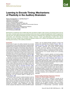 Minireview Learning to Encode Timing: Mechanisms of Plasticity in the Auditory Brainstem Neuron