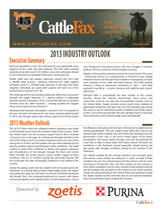 2013 INDUSTRY OUTLOOK Executive Summary February 2013