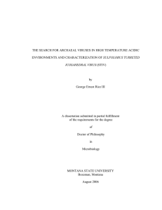 THE SEARCH FOR ARCHAEAL VIRUSES IN HIGH TEMPERATURE ACIDIC SULFOLOBUS TURRETED by