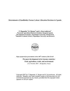 Determinants of Smallholder Farmer Labour Allocation Decisions in Uganda  F. Bagamba