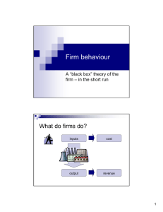 Firm behaviour What do firms do? A “black box” theory of the