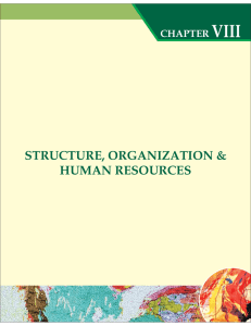 VIII STRUCTURE, ORGANIZATION &amp; HUMAN RESOURCES CHAPTER