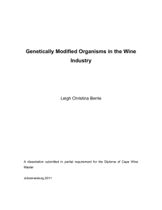 Genetically Modified Organisms in the Wine Industry  Leigh Christina Berrie
