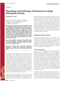 Physiology and Pathology of Endosome-to-Golgi Retrograde Sorting Review Christopher G. Burd