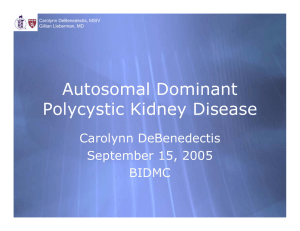 Autosomal Dominant Polycystic Kidney Disease Carolynn DeBenedectis September 15, 2005